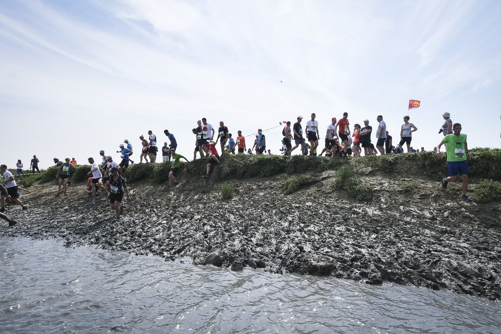 transbaie-2019-7842.jpg